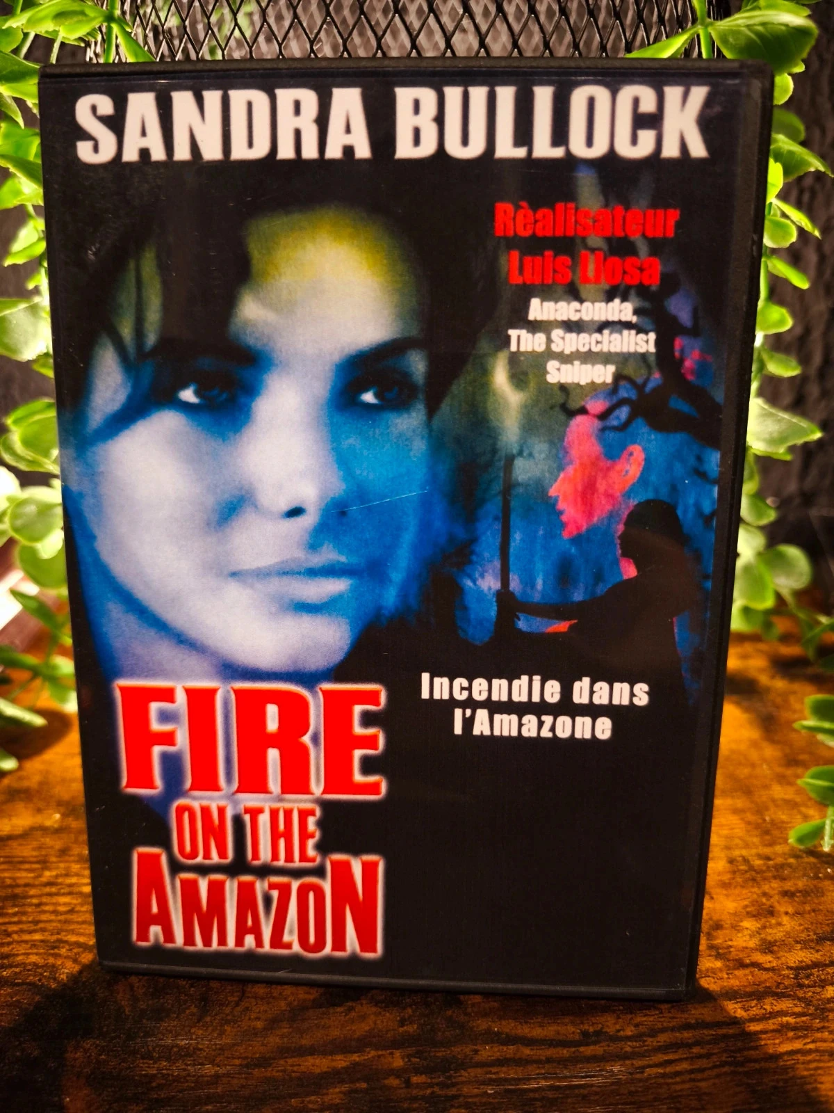 Fire on the Amazon